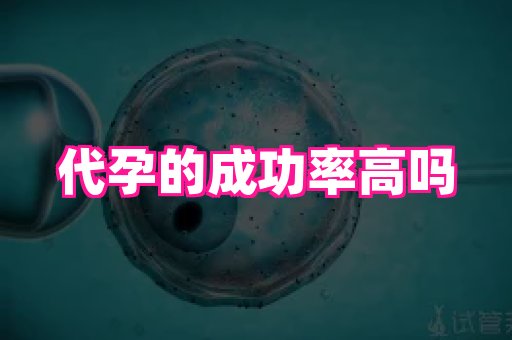 123试管孕网 4
